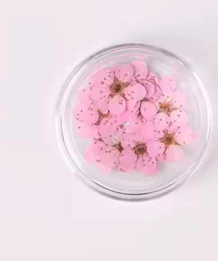 DRY FLOWERS