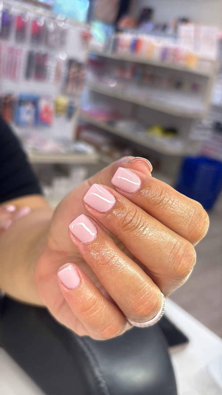 A.G.A SPRING GEL COLLECTON