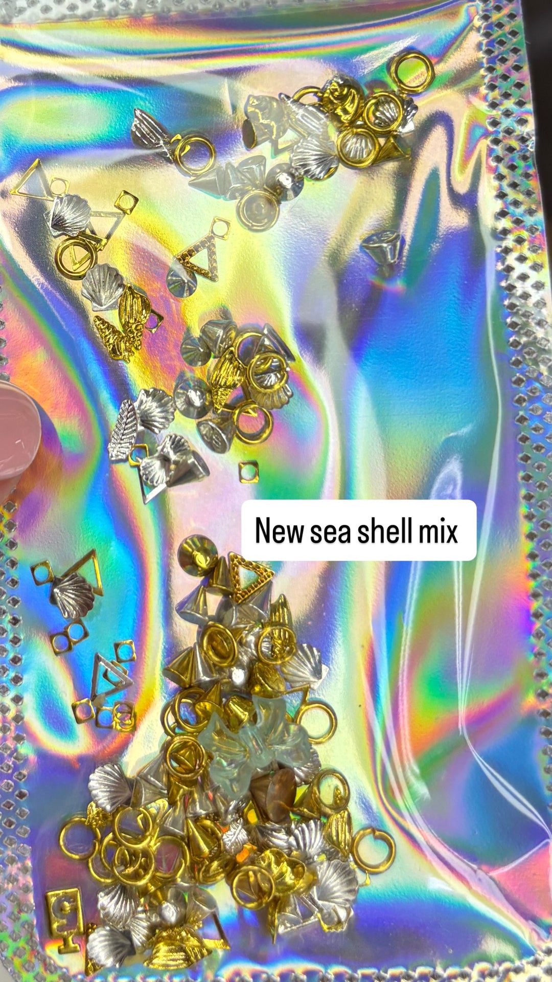 SEA SHELL ART MIX