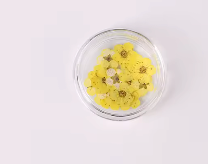 YELLOW DRY FLOWER
