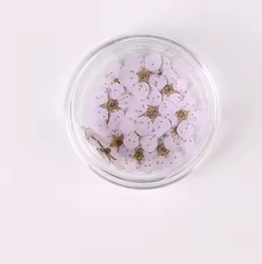 LIGHT PURPLE DRY FLOWER