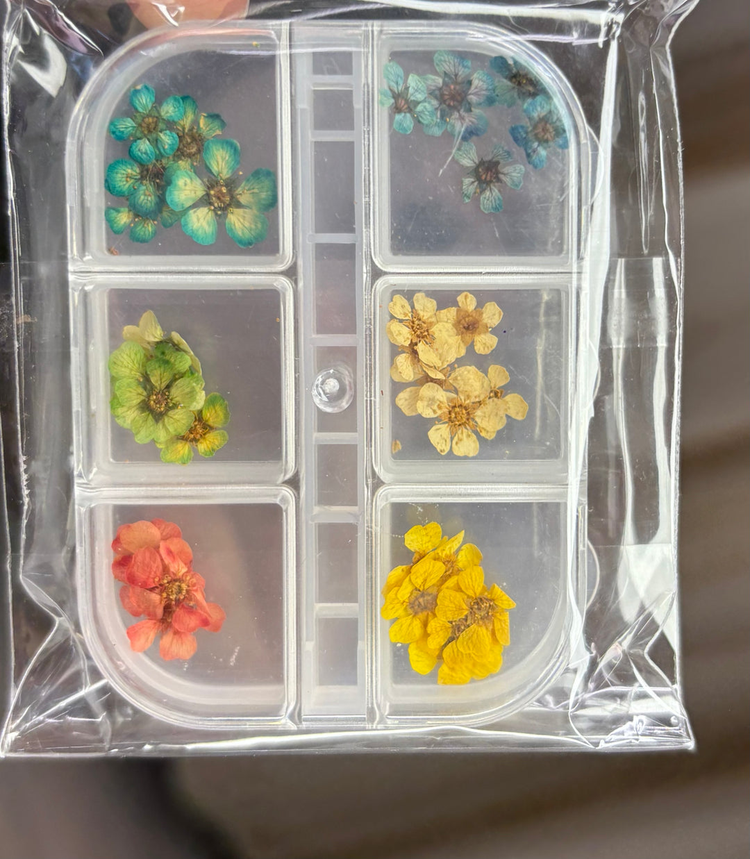 6 GRID DRY FLOWER PACK