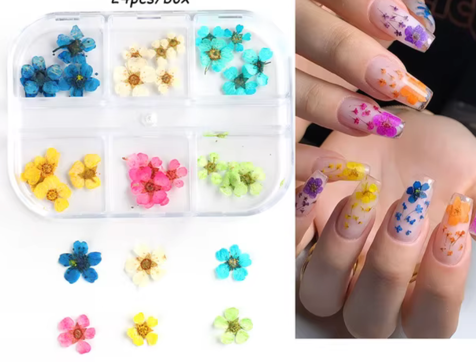 6 GRID DRY FLOWER