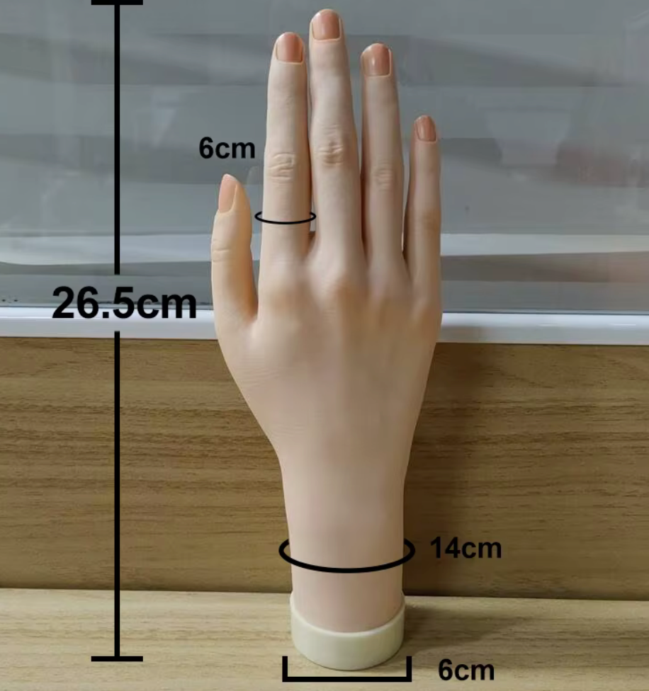 SILICONE PRACTICE HAND